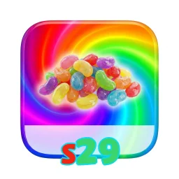 s29